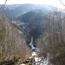DSCF1772