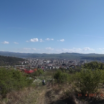 DSCF2501