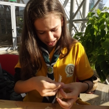 DSCF2977