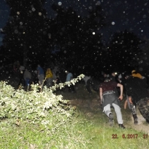 DSCF3687