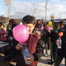 DSCF4636