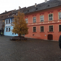 DSCF4702