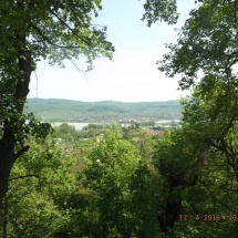 DSCF5768