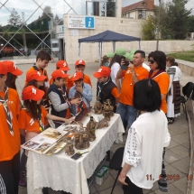 DSCF6206