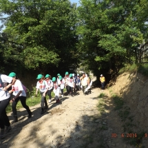DSCF6665