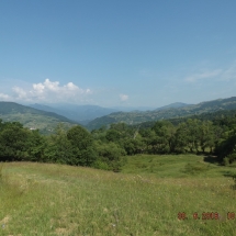 DSCF6695