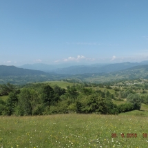 DSCF6710