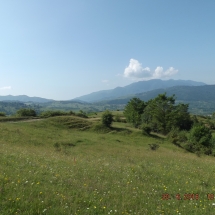 DSCF6711