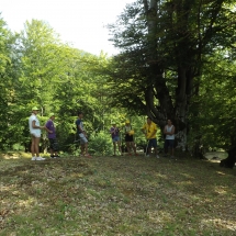 DSCF7165
