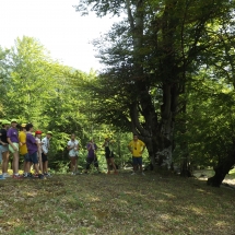 DSCF7173