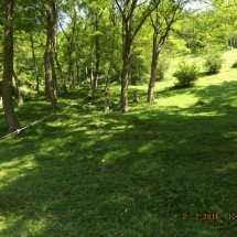 DSCF7207