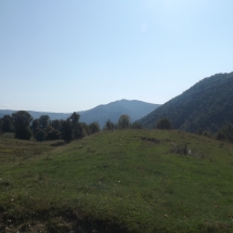 DSCF7227