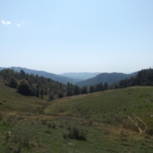 DSCF7232