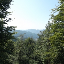 DSCF7242