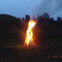DSCF7810