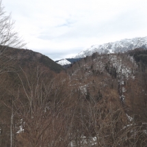 DSCF8099