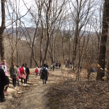 DSCF8615