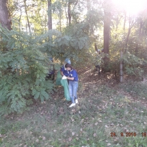 dscf9084 dscf9084