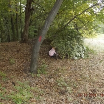 dscf9383