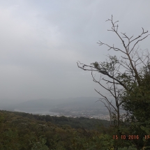 dscf9405