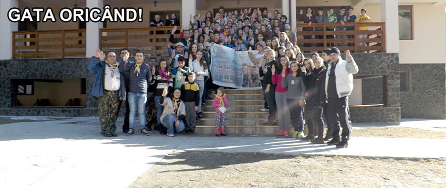 Gata oricand000