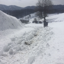 IMG-20180325-WA0005