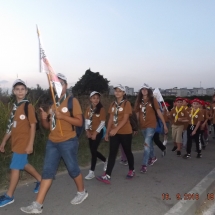 _scf8869 _scf8869