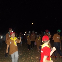 _scf8943 _scf8943
