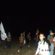 _scf8946 _scf8946
